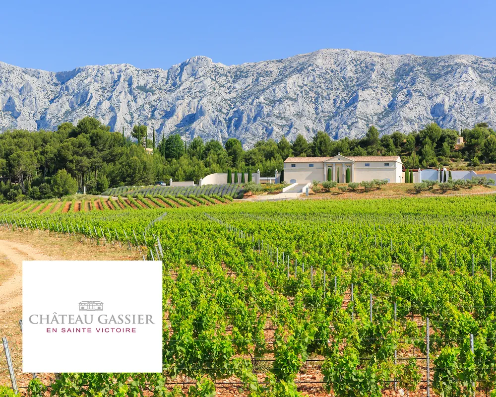 De wijngaarden van Château Gassier onder de Montagne Sainte-Victoire